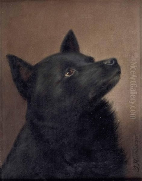 Hundebildnis - Spitz - view 1