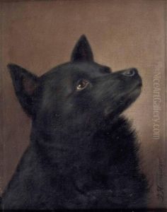 Hundebildnis - Spitz by Julius Hamburger
