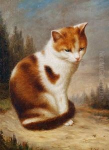 A Cat In A Landscape