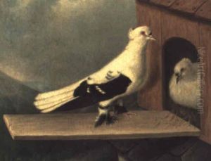 Brieftauben by Julius Hamburger