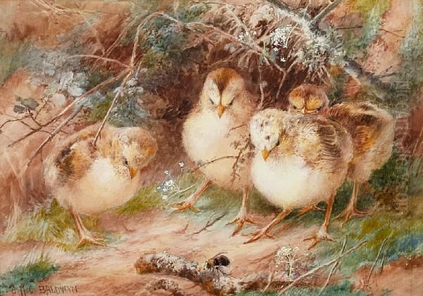 Four Chicks Watching A Bumble Bee - view 1