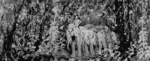 Elephants