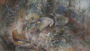 The Woodlanders: Haunt Of The Green Finches by Charles Henry C. Baldwyn