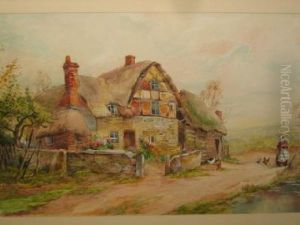 Rural Scenes