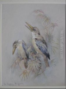 The Laughing Ringneck by Charles Henry C. Baldwyn