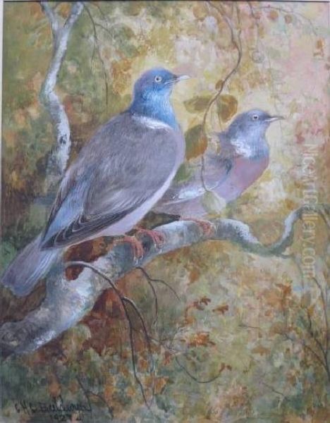 Two Birds On A Branch - view 1