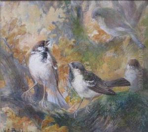 Autumn Tree Sparrows by Charles Henry C. Baldwyn