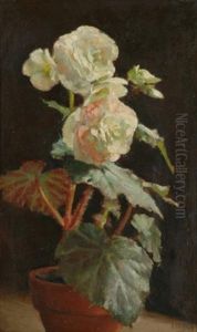 White Begonia by Alice Marian Ellen Bale