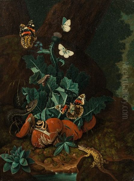 Forest Ground Still Life - view 1