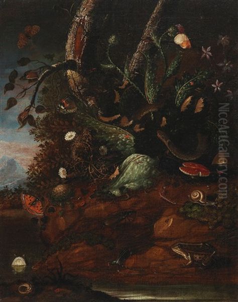 A Forest Ground Still Life - view 1
