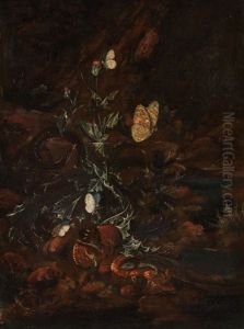 Stillleben Mit Eidechsen, Schlangen, Schmetterlingen Und Schnecken (+ Another; Pair)