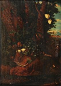 Lezards Et Papillons Dans Un Sous Bois Nocturne (in 2 Parts)
