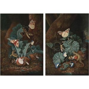 A Forest Floor With A Lizard, A Painted Lady Butterfly, A Snake, Morning Glory And Fungi (+ A Forest Floor With A Lizard, A Red Tiger Moth, A Snake, Thistles, Convolvulus And Fungi; Pair) by Carl Wilhelm de Hamilton