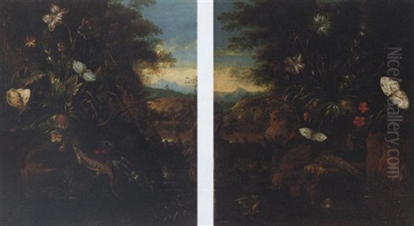 A Forest Floor Still Life With Frogs, Lizards And Butterflies, A Landscape Beyond - view 1