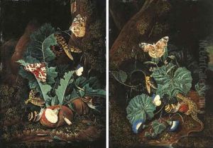 Forest Floor Still Life With Lizards, Snakes, Painted Lady Butterflies, A Red Tiger Moth, Snails, Thistle And Convolvulus by Carl Wilhelm de Hamilton