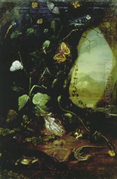 Untergeholz Mit Froschen, Eidechse, Insekten Und Meise - view 1