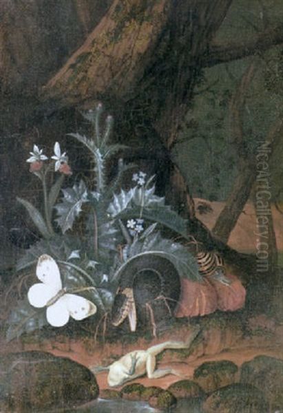 Still Life Of A Snake, A Snail, A Toad And A Butterfly Amid Undergrowth Beside A Pool - view 1