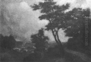 Paysage Arbore