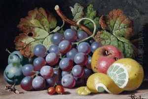 Still Lifes Of Fruit Still Lifes Of Fruit
