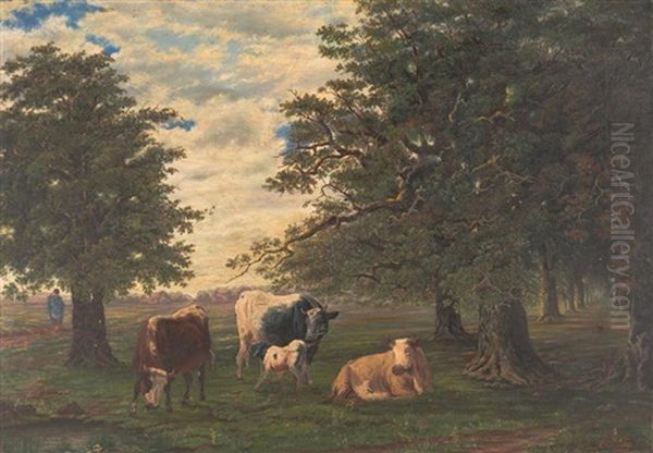 Resting Cattle 1884 - view 1