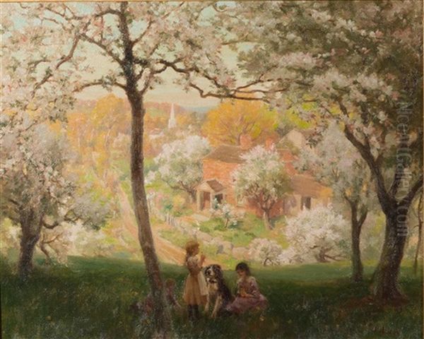 Playing In The Shade - view 1