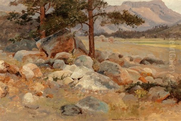 Rocky Pasture - view 1