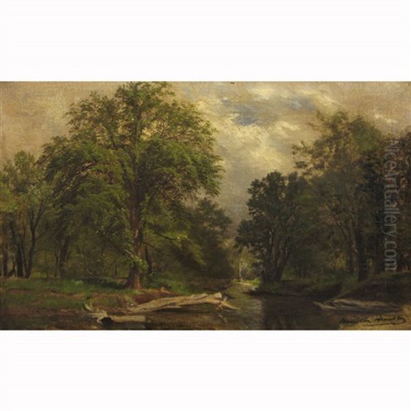 Woodland Landscape - view 1