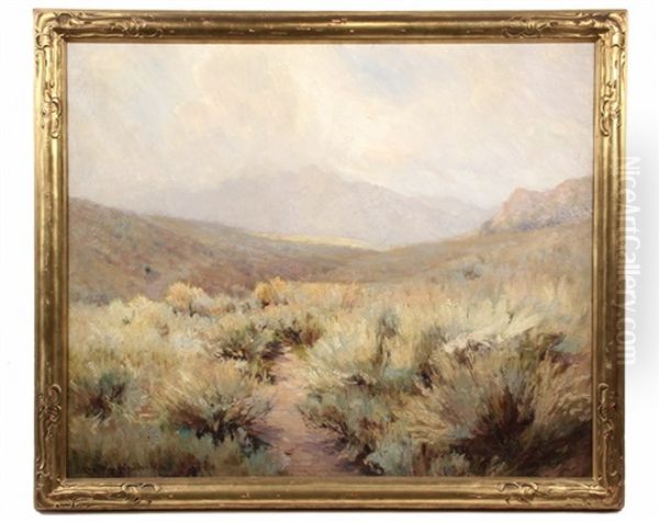 The Anza Borrego - view 1