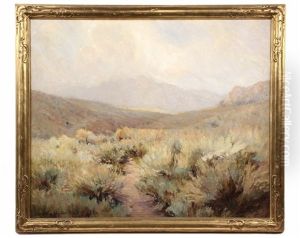 The Anza Borrego