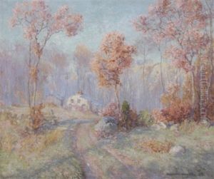 Sunlit Connecticut Landscape