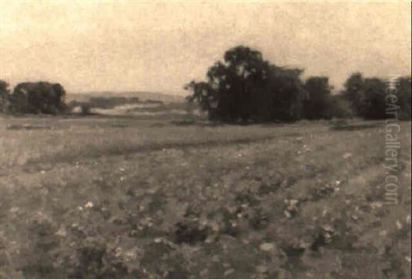 On The Knoll - view 1