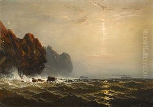 Steamer Off A Rocky Coast by James Hamilton
