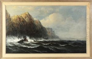 The Rocky Coast