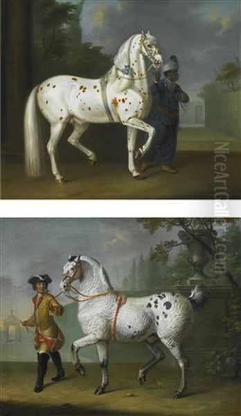 A Lipizzaner Stallion With Curly Coat Led By A Groom; A Lipizzaner Stallion With "tiger" Coat Held By A Groom In Oriental Costume - view 1