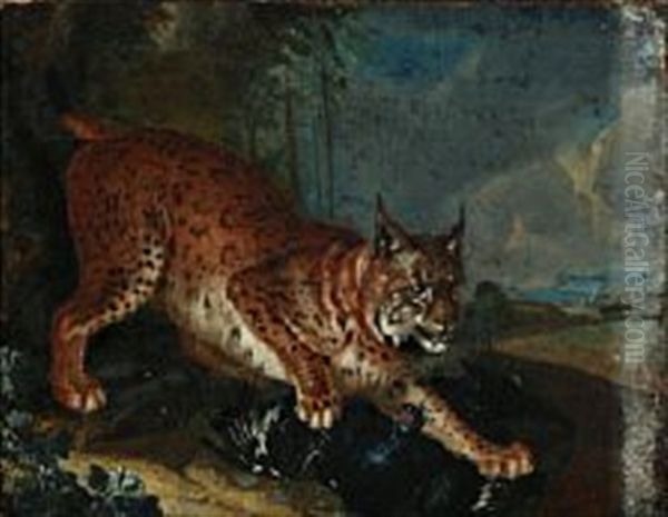 A Lynx Is Hunting A Black Grouse - view 1