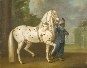 Lipizzanerhengst Mit Tigerschecken-komplex, Prasentiert Von Einem Stallburschen