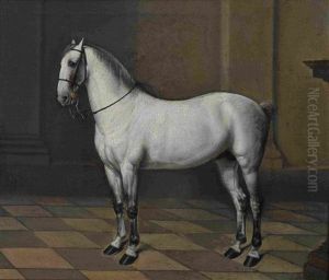 Lipizzanerhengst by Johann Georg de Hamilton