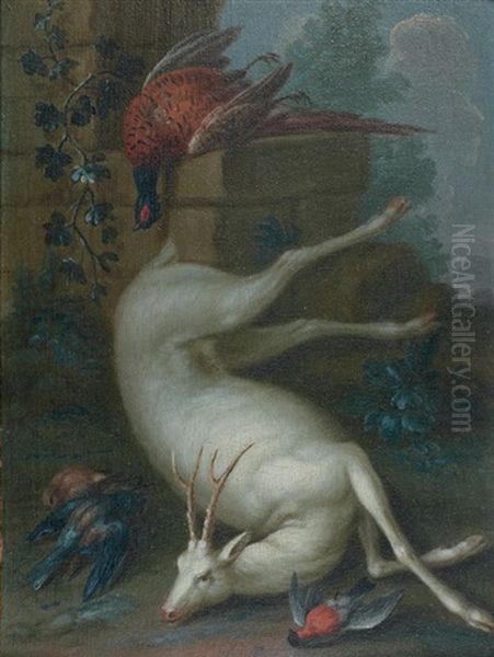 Nature Morte Au Chevreuil Albinos - view 1