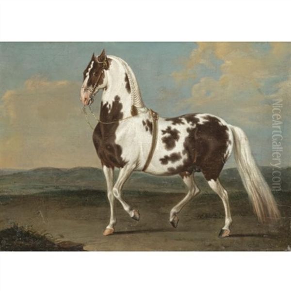 Portrait Of A Dressage Stallion In A Landscape - view 1