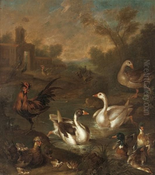 Parklandschaft Mit Schwanen, Enten Und Huhnern - view 1