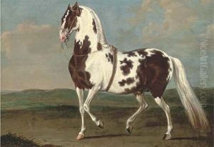 A Lipizzaner In An Extensive Mountainous Landscape