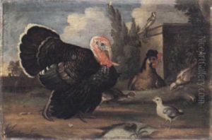 Ein Truthahn Und Huhner In Einem Geflugelhof by Johann Georg de Hamilton