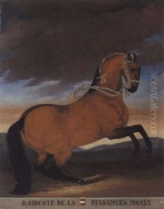 Der Hengst "il Ridente De La Scamuza" by Johann Georg de Hamilton