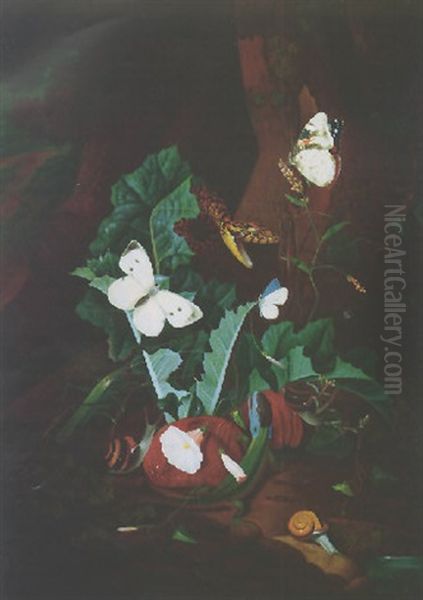 Nocturnal Landscape With Snakes, Moths, Snails And Insects - view 1