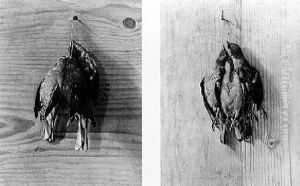Trompe L'oeil Still Life Of Dead Game Tacked To Wood Panel by Johann Georg de Hamilton