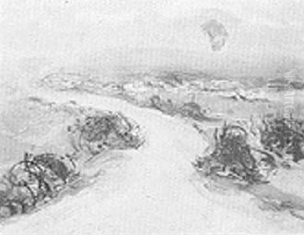 No Man's Land, 1914-1918 - view 1