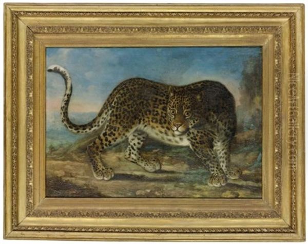 A Leopard - view 1