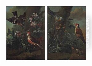 A Forest Floor With Two Finches In A Bed Of Flowers; And A Forest Floor With A Finch And A Small Bird With A Frog by Philipp Ferdinand de Hamilton