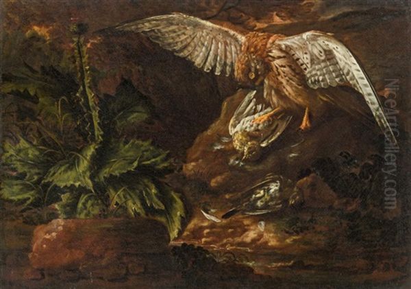 Hunting Hawk - view 1
