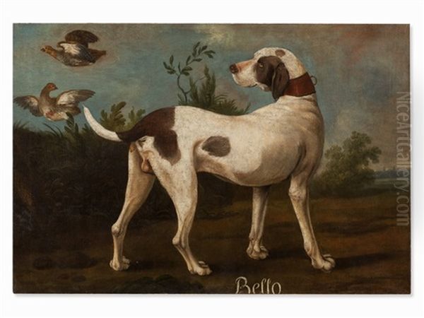 Bello - view 1